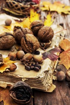 Close-up of walnuts, leaves and hazelnuts on old book - бесплатный image #302007