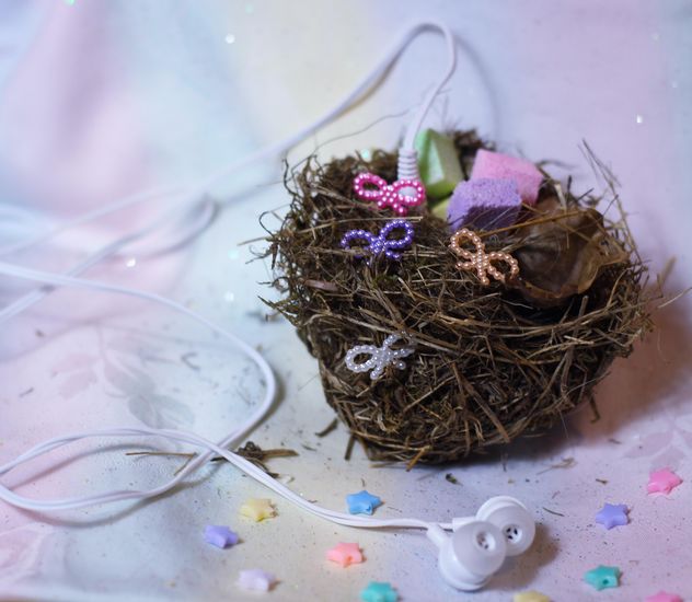 bird's nest decorated with music earphones - image gratuit #302407 