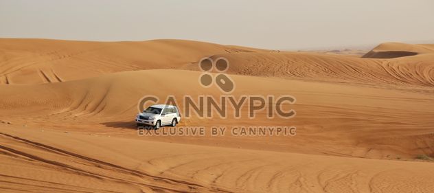 Driving on jeeps on the desert - бесплатный image #303367