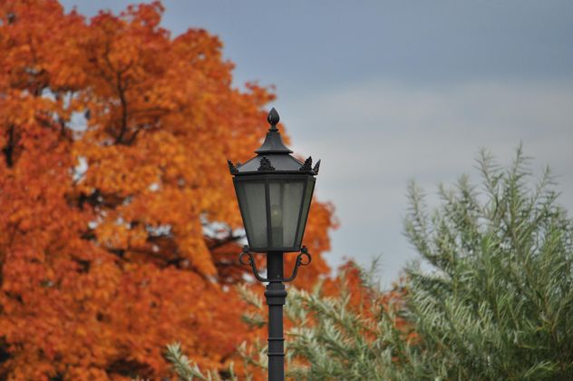 Lantern on a background of yellow foliage - Free image #303807