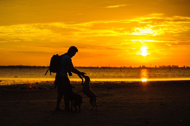 silhouette of man and dog at sunset - image #303987 gratis