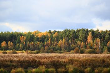 Autumn landscape - image gratuit #304357 