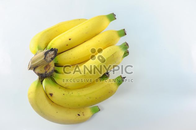 Bunch of bananas - image #304627 gratis