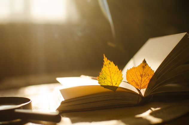 Autumn yellow leaves and book - Kostenloses image #305357