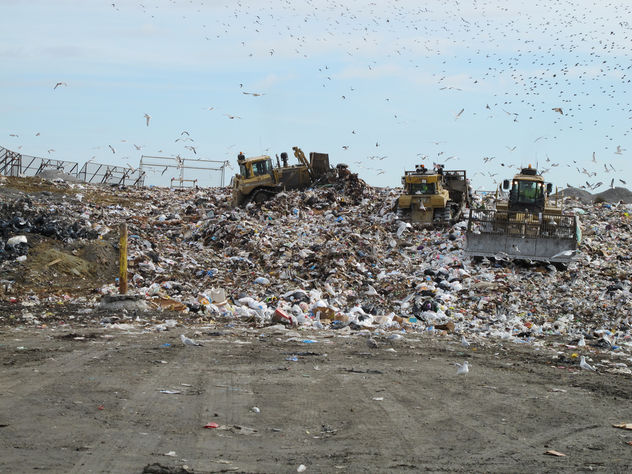 36151 Old Dominion Landfill - Free image #306667