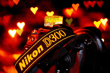 I love Nikon - Kostenloses image #308097