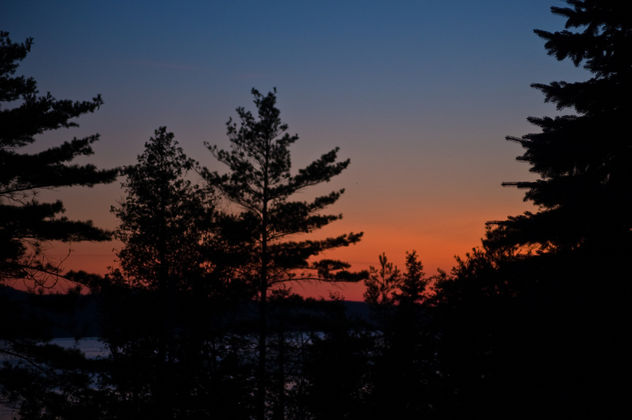 Northern Michigan deep woods sunset - image gratuit #308187 