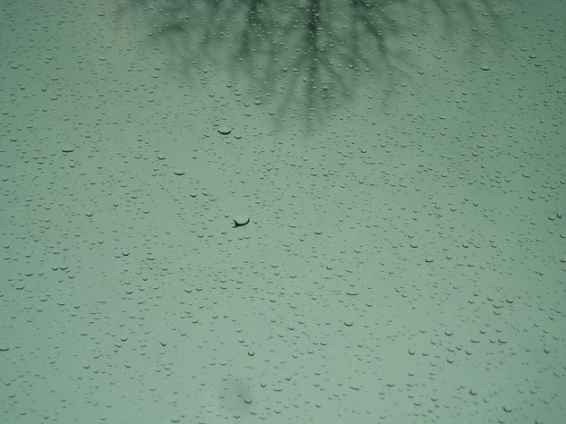rain/droplets [free texture] - Free image #312717