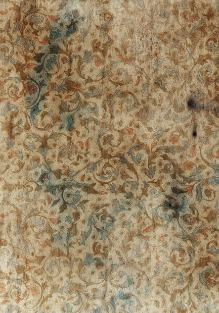Free_Texture_Tuesday_Floral3 - Free image #313087