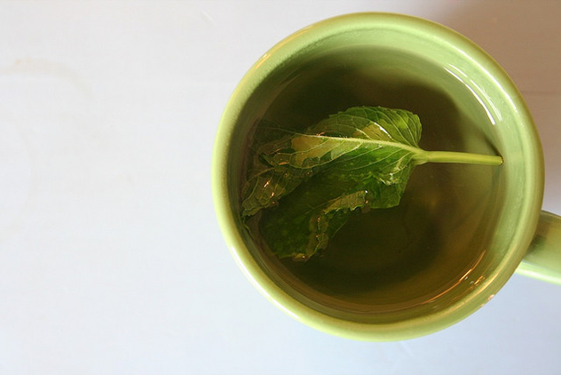 real mint tea - Kostenloses image #317197