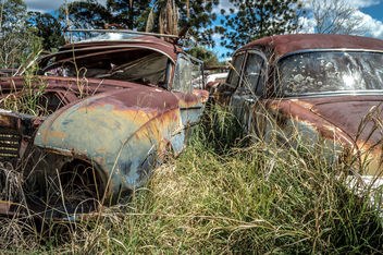 Abandoned Cars - Free image #320127