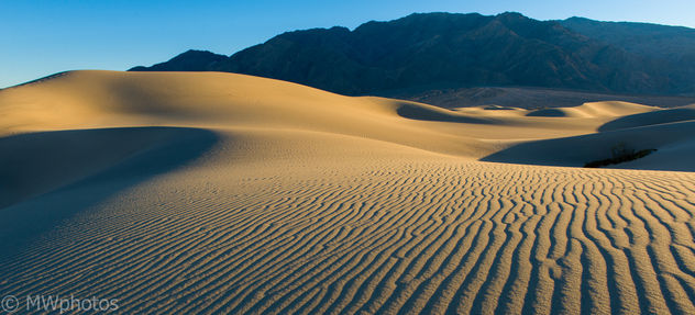 Sand Dunes - Death Valley National Park - image gratuit #321057 