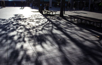 Street shadow - Free image #321197