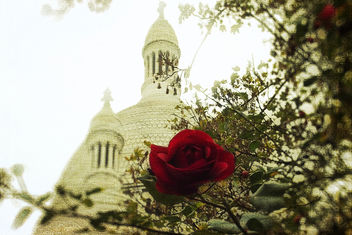 The rose of Montmartre - image #323497 gratis