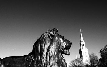 iphoneTrafalgar Square Lions #dailyshoot #leshainesimages - Free image #323977