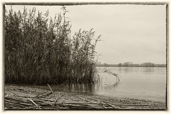 The riverbank - Free image #324467