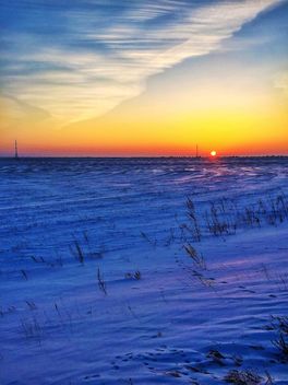 Field covered with snow - бесплатный image #326507