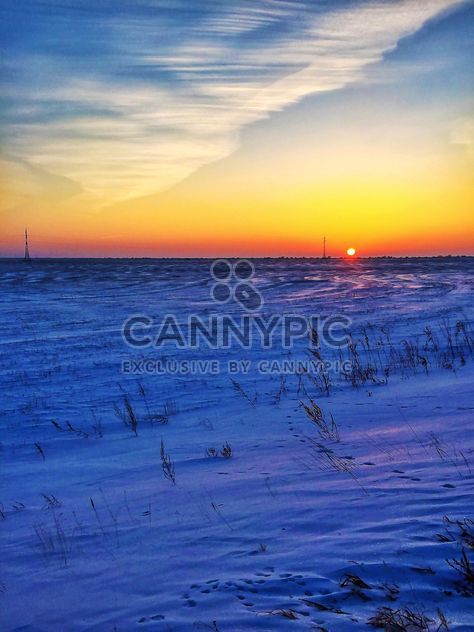 Field covered with snow - image gratuit #326507 