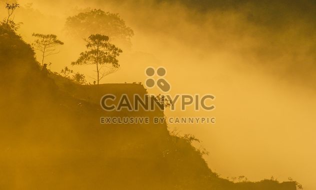 Morning mists - Kostenloses image #328097
