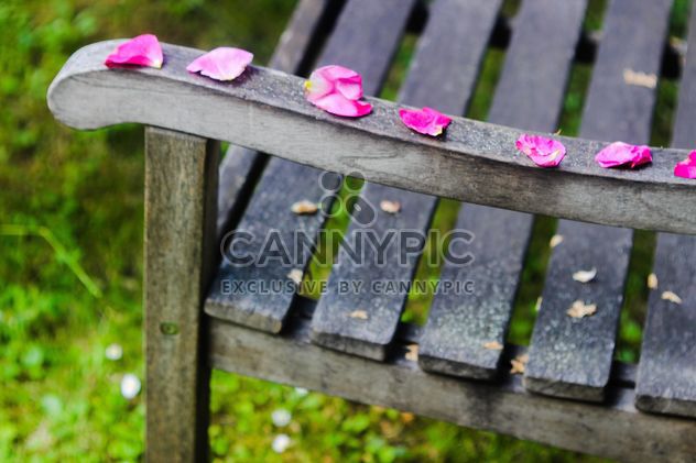 Rose petals on a bench - image #328447 gratis
