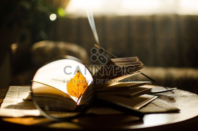 Autumn yellow leaves through a magnifying glass and incense sticks and book - бесплатный image #330397
