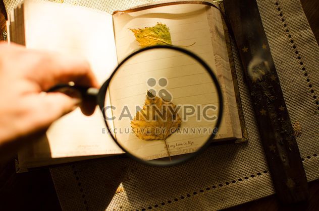 Autumn yellow leaves through a magnifying glass and incense sticks and book - image #330417 gratis