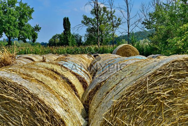 Countryside agriculture - Kostenloses image #333737