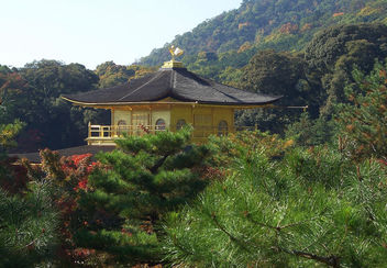 Japan (Kyoto) Another view of Golden Pavilion 1 - Free image #337227