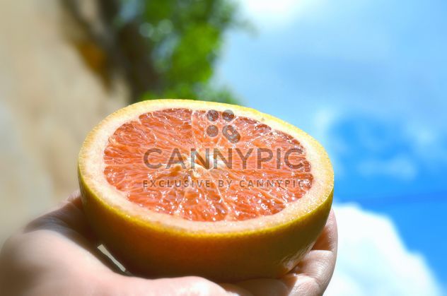 Half of grapefruit in hand - image #338307 gratis