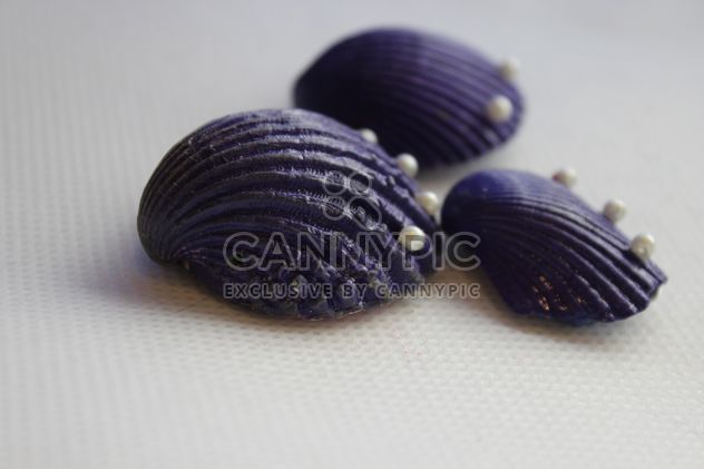 Violet shells on white background - Free image #341467