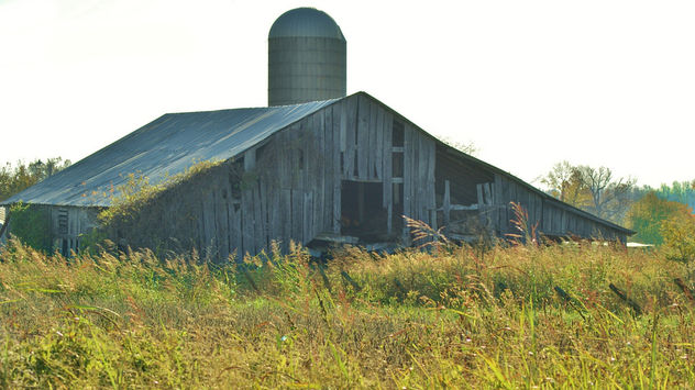 Old Barn Left For Nature - Free image #341857