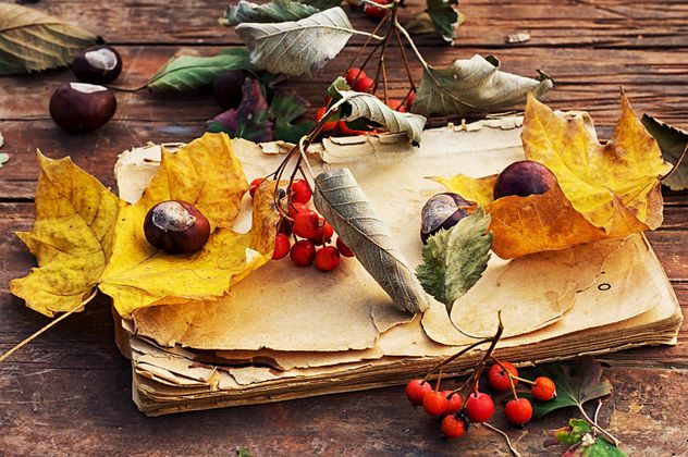 Old book with autumn leaf and berries on wooden table - image #342467 gratis
