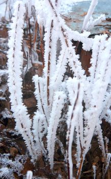 Frosty morning in Podolsk - бесплатный image #343617