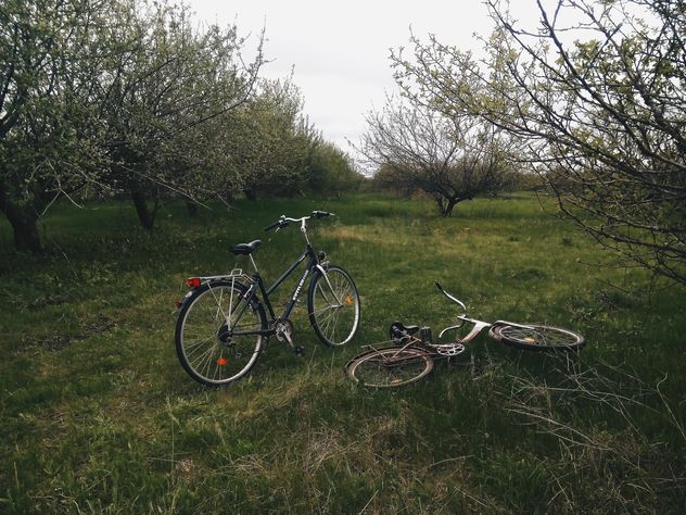 Two bikes on green grass in park - бесплатный image #344617