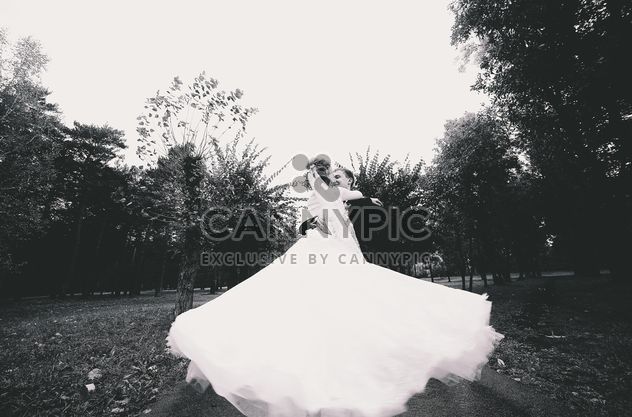 Happy wedding couple in park, black and white - image #345887 gratis