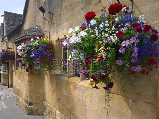 Flowers on facade of house in Chipping Campden - бесплатный image #346217