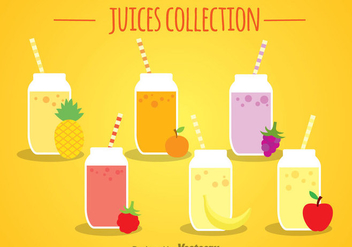 Fruit Juices Collection - vector gratuit #346797 