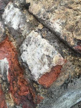 Fragment of old wall closeup - Free image #346917