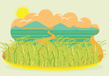 Rice Field Landscape Vector - бесплатный vector #347537
