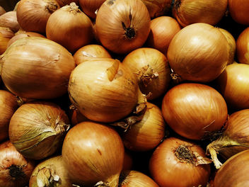 Onions - Free image #350597