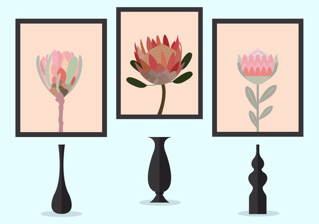 Vector Illustration of Protea Flowers - Kostenloses vector #351737