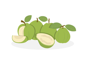 Guava Vectors - Kostenloses vector #354177