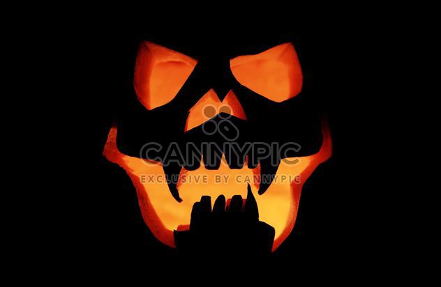 Halloween pumpkin Jack-o'-lantern - Kostenloses image #359157
