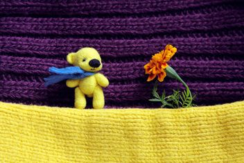 Toy yellow bear and marigold flower - Free image #359167