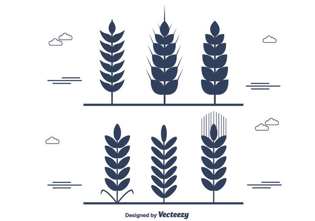 Wheat Stalk Vector - Kostenloses vector #365357