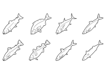 Free Hand Drawing Consumable Fish Vector - vector gratuit #376177 
