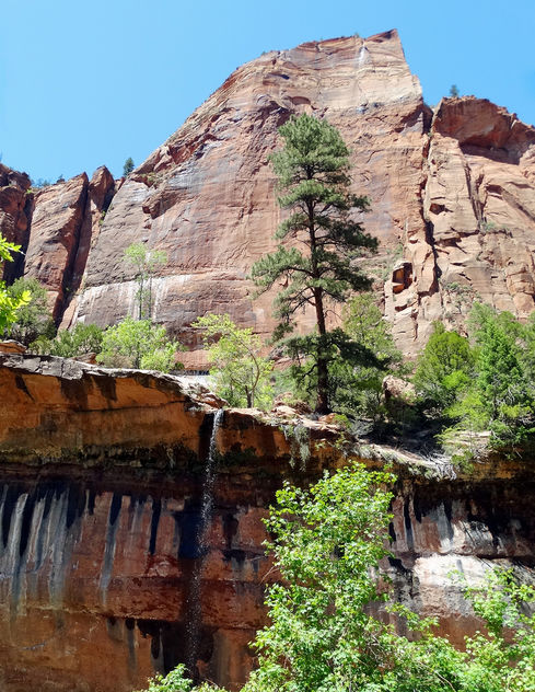Emerald Pools Trail, Zion NP 5-14 - Free image #376747