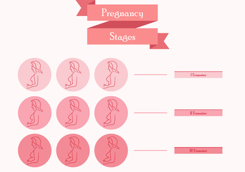 Pregnant Mom Stages - бесплатный vector #378367