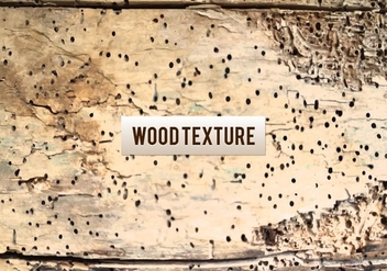 Free Vector Wood Texture - vector gratuit #383927 