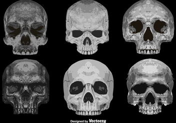 Vector Set Of 6 Abstract Skulls Detailed Icons - бесплатный vector #386767